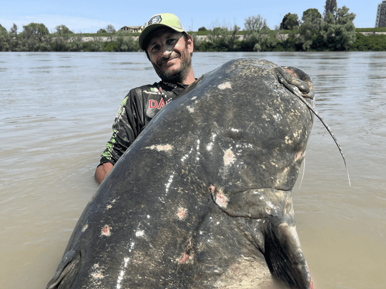 Un pêcheur attrape d’énormes « poissons préhistoriques »