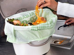 Un sac compostable