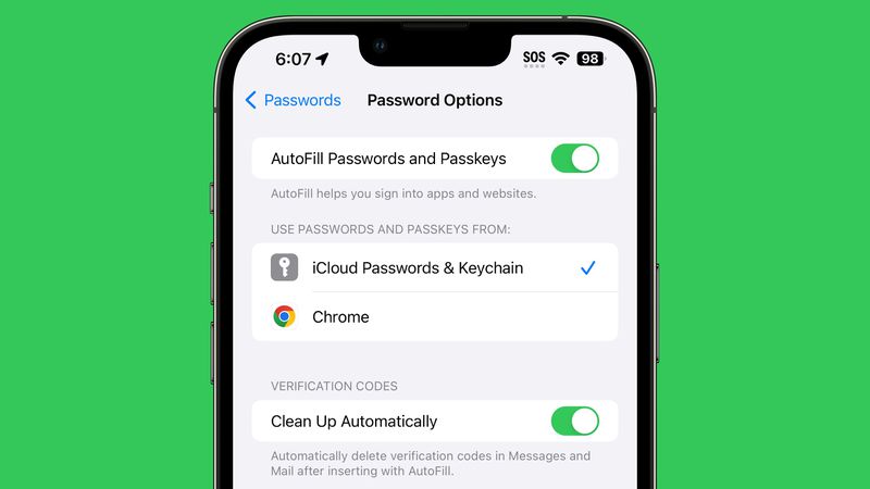 Une capture d'écran montrant la nouvelle fonctionnalité Nettoyer automatiquement dans le menu des options de mot de passe de la version bêta d'iOS 17