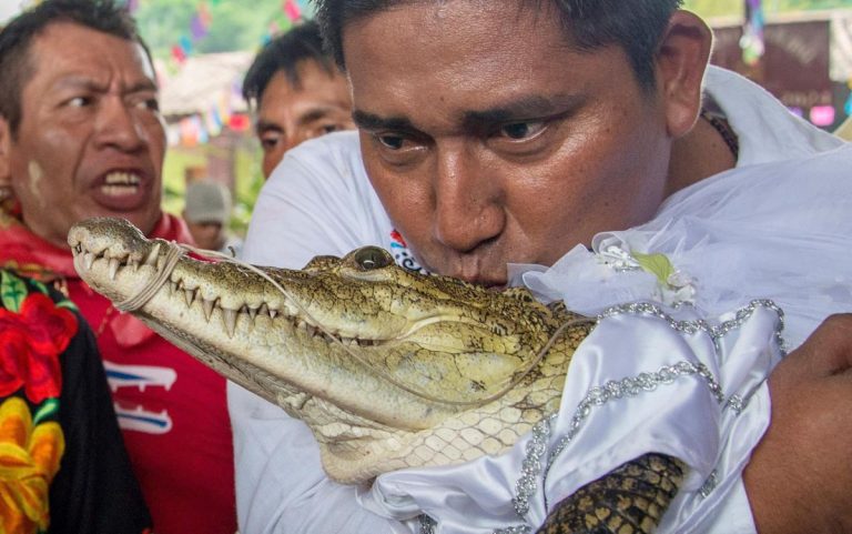 Un maire mexicain épouse une « princesse » reptile pour lui porter chance