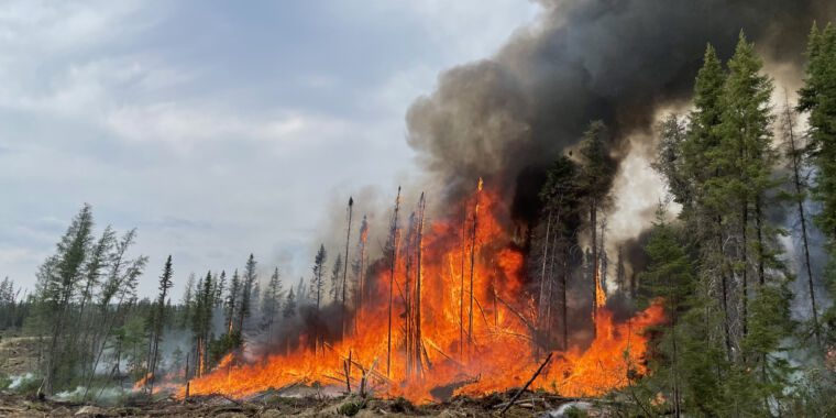 Les extrêmes de juin suggèrent que certaines parties du système climatique atteignent des points de basculement