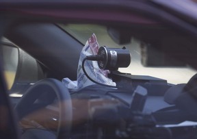 Ce qui semble être un sac de preuves peut être vu à l'intérieur d'un croiseur de la police de Toronto sur les lieux d'une fusillade qui a tué une femme de 40 ans à Carlaw Ave. et Queen St. E., le vendredi 7 juillet 2023.