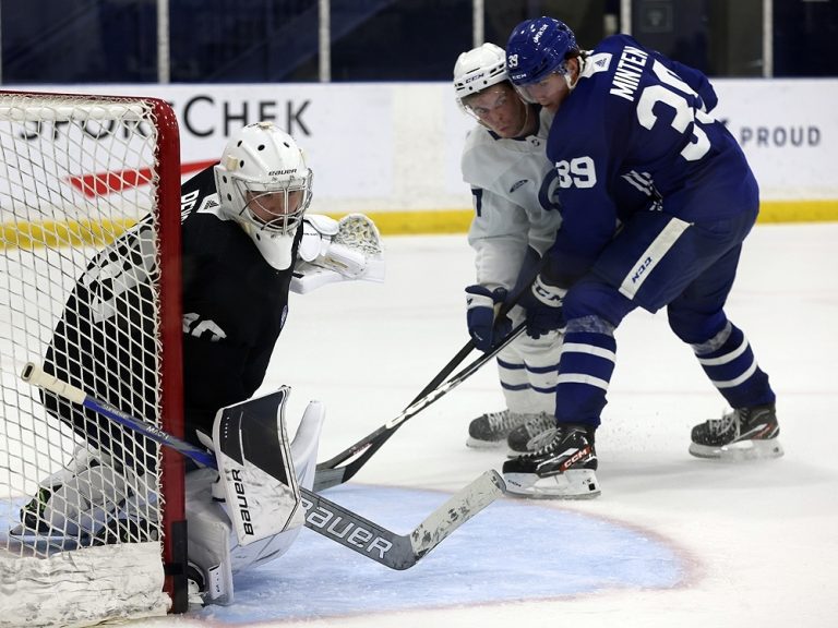 Peu de choix élevés, les Maple Leafs doivent continuer à développer des talents inconnus