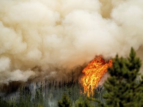 Le feu de forêt de Donnie Creek.