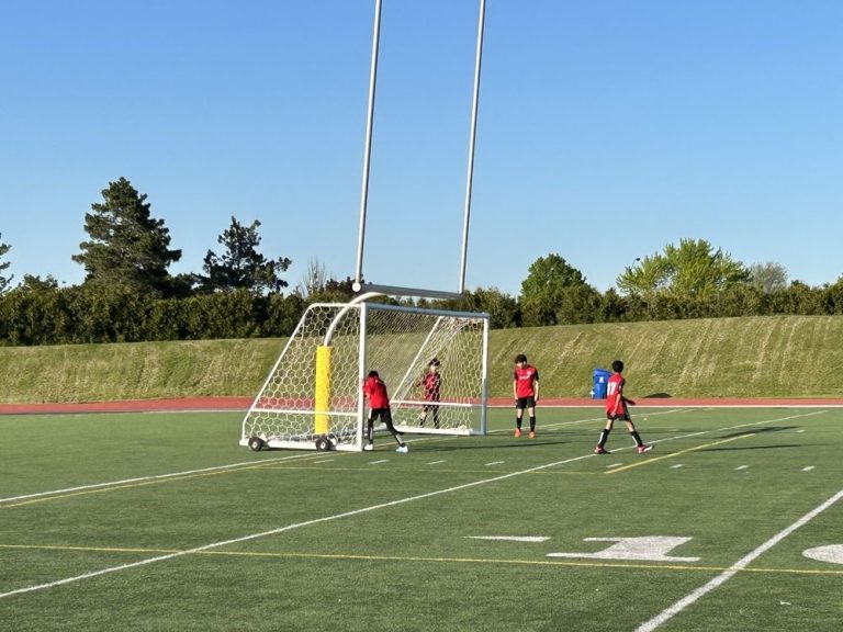 Les parents espèrent que le projet de loi sur les filets de soccer de l’Ontario empêchera la mort d’un plus grand nombre d’enfants