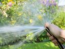 Helen Chesnut cherche des moyens d'atténuer les effets de la chaleur et de la sécheresse dans le jardin. 