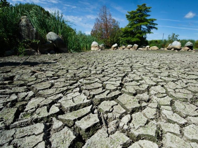 Vancouver inflige plus de 71 000 $ d’amendes pour restriction d’eau alors que la sécheresse s’intensifie