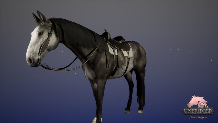 Ce fabricant de chevaux stupidement détaillé m’a ruiné et maintenant je veux un RPG à cheval complet