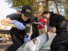 Une équipe de scientifiques de l'Université Carleton et de l'Université Brock enlève des sections gelées de couches de sédiments après leur collecte au fond du lac dans la zone de conservation du lac Crawford près de Milton, Ontario, Canada, le 12 avril 2023.