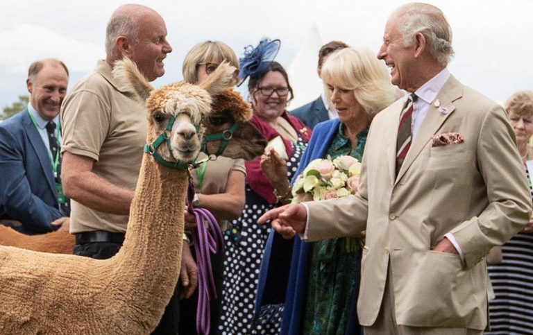 Une chèvre grignote la chemise verte de la reine lors d’une visite royale au Pays de Galles