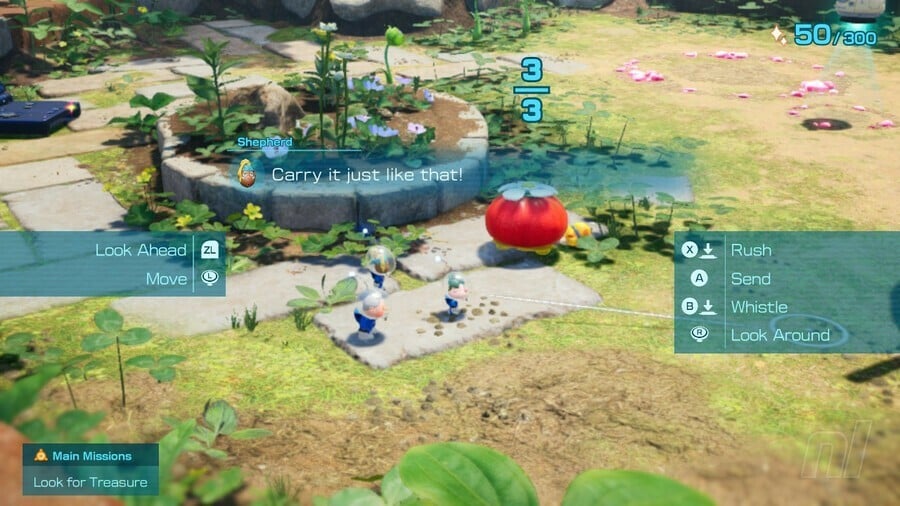 Pikmin 4 Tous les emplacements d'oignons