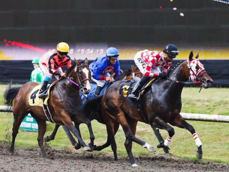 Randy Goulding: La Coupe revient à l’hippodrome de Hastings samedi