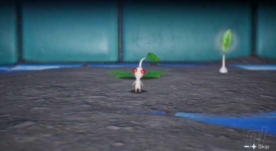 Pikmin 4: procédure pas à pas du sauna sous zéro