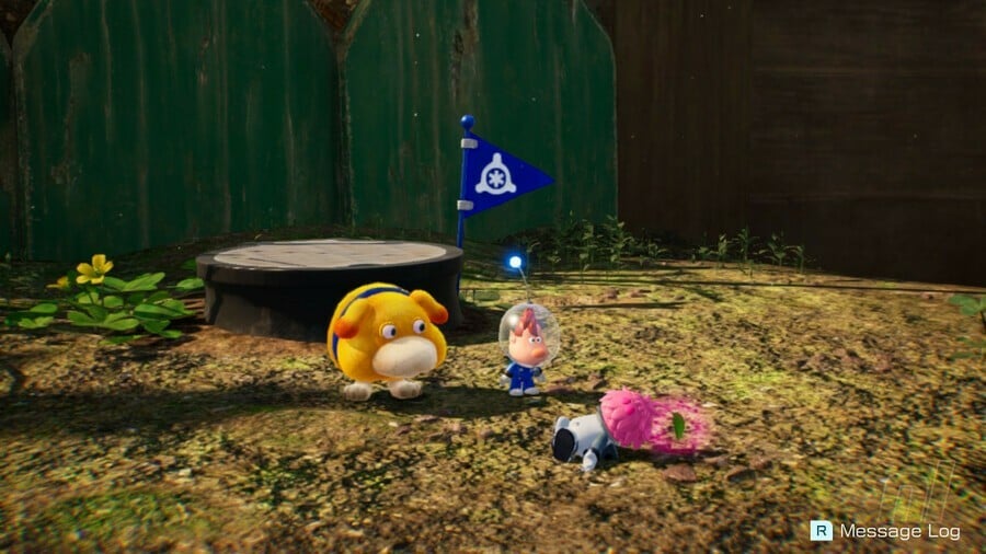 Garderie Pikmin 4 dandori