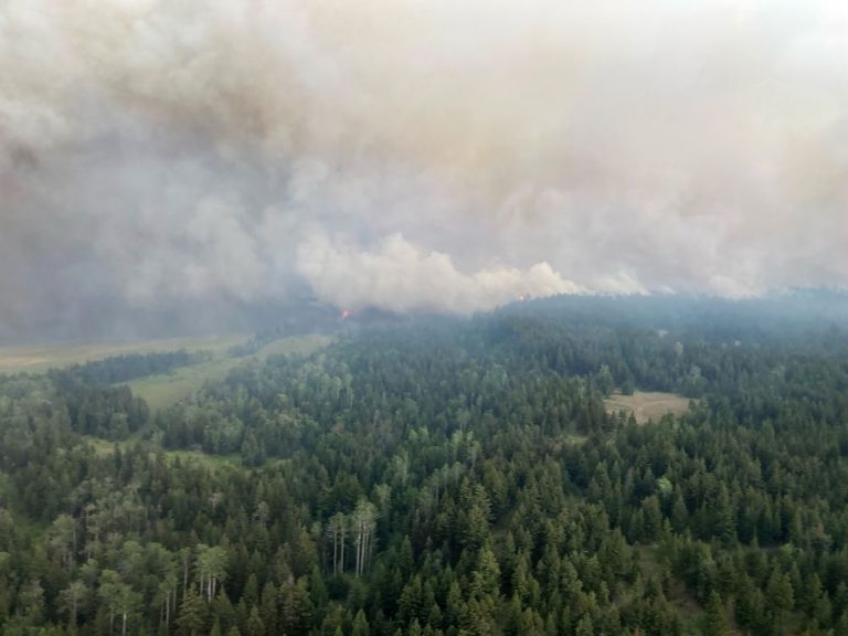 Un incendie à croissance rapide près de Kamloops, en Colombie-Britannique, déclenche des alertes et des ordres d’évacuation