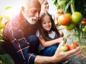 Grand-père cultivant des légumes avec ses petits-enfants