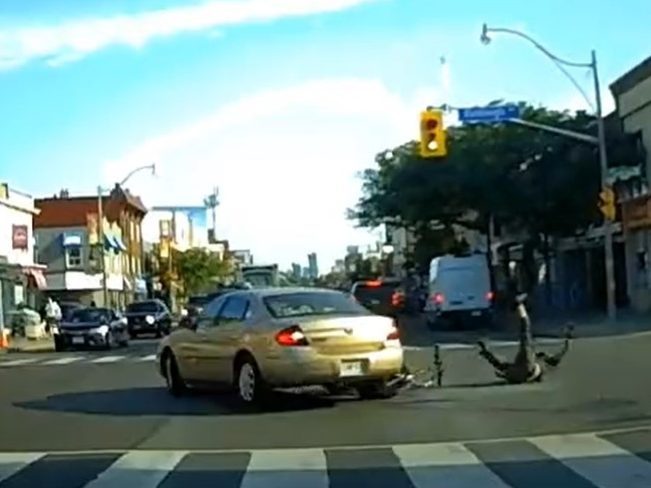 Des images de Dashcam capturent une voiture roulant sur un cycliste dans le centre-ville de Toronto