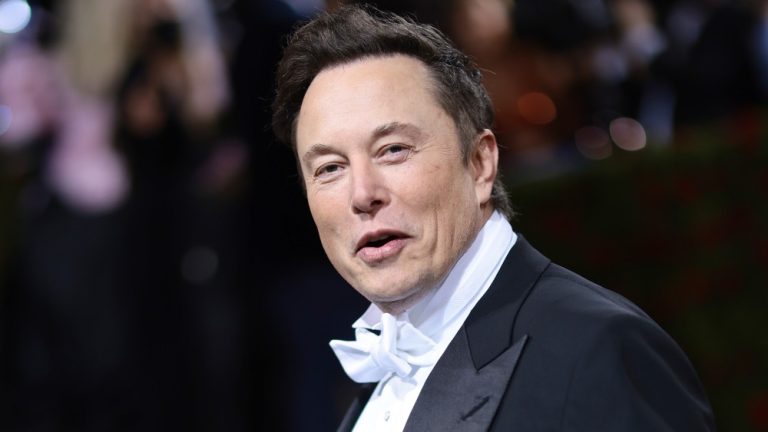 Elon Musk Twitter Disparaged