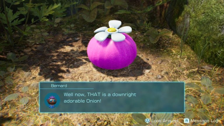 Pikmin 4 Pink Onion location