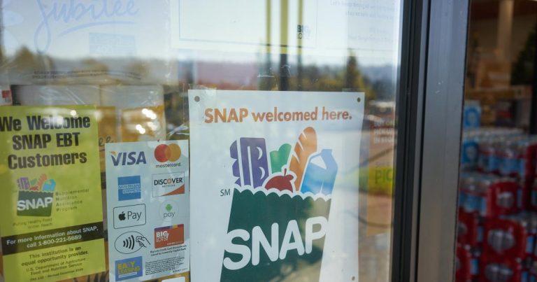 Frapper les livres : comment les services numériques de SNAP sont devenus un bourbier en ligne