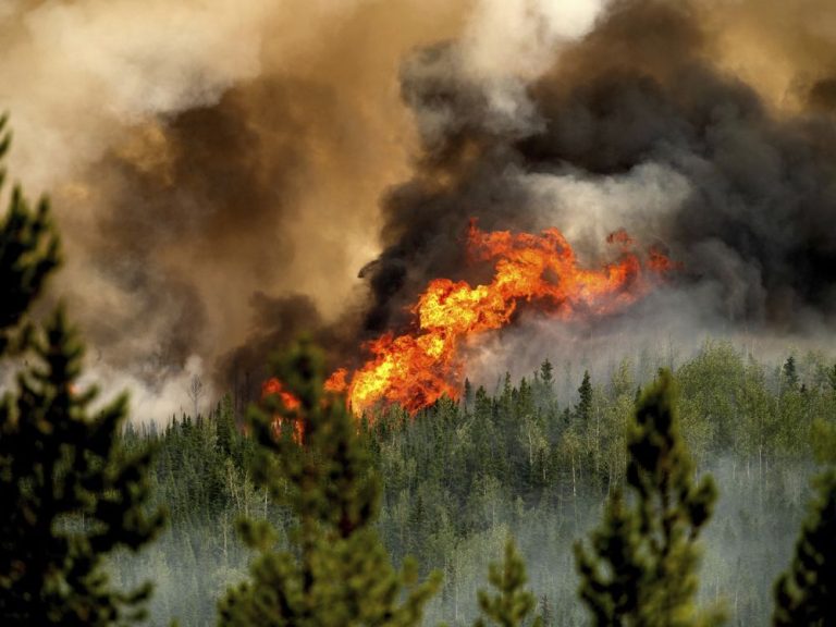 Intact Financial attribue la moitié des 252 millions de dollars de pertes liées aux catastrophes au Canada aux incendies de forêt