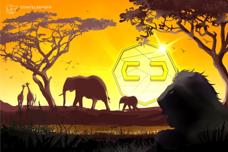 L’Afrique du Sud imposera des licences d’échange de crypto d’ici la fin de l’année : rapport