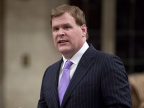 Le ministre des Affaires étrangères John Baird répond à une question pendant la période des questions à la Chambre des communes sur la Colline du Parlement à Ottawa le jeudi 29 janvier 2015.