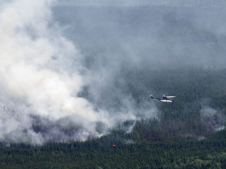 La saison record des incendies de forêt continuera de brûler pendant des mois: officiels