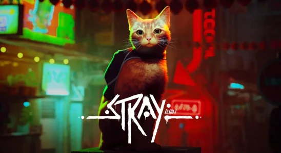 The cat from Stray, with a neon city in the backgroubd.