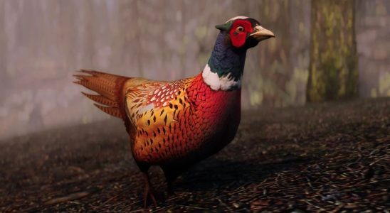 A pheasant from MihailMods