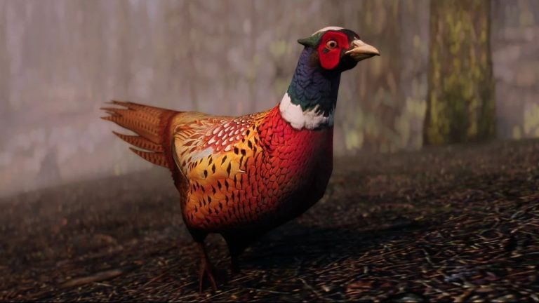 A pheasant from MihailMods