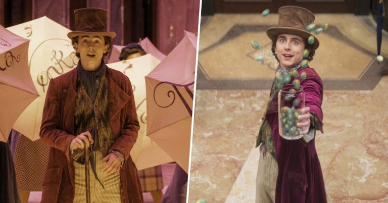 Le réalisateur de Wonka a choisi Timothée Chalamet après avoir vu ses vidéos virales de lycée sur YouTube