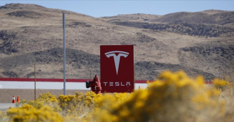 Les administrateurs de Tesla acceptent de restituer 735 millions de dollars suite à des allégations selon lesquelles ils ont été massivement surpayés