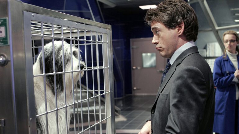 Pourquoi Robert Downey Jr. pense que The Shaggy Dog et Dolittle sont deux des films les plus importants de sa carrière
