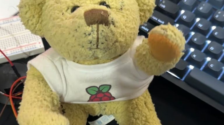 Raspberry Pi Pico anime Babbage l’ours