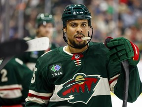 Ryan Reaves, alors avec le Wild du Minnesota, assiste à un match au Xcel Energy Center.