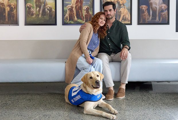 Sarah Drew Cast dans Hallmark Movie, Eric McCormack à Voice Dog – TVLine