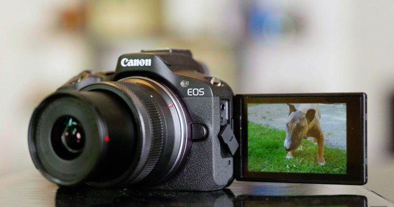 Test du Canon EOS R50 : De grandes performances pour un petit appareil photo