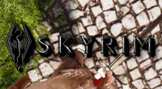 Skyrim: The game's logo with a blurry image from the game showing the player's feet.