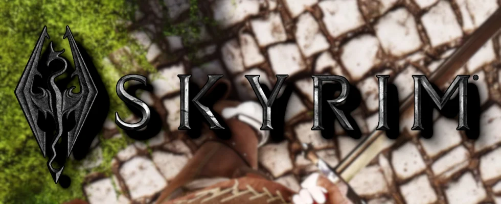 Skyrim: The game's logo with a blurry image from the game showing the player's feet.