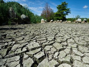 Le parc Charleson, dans le village olympique de Vancouver, possède l'un des nombreux étangs artificiels qui ont asséché des étangs à mesure que la sécheresse provinciale s'aggrave. [PNG Merlin Archive]