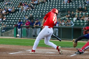 Max Murphy des Goldeyes