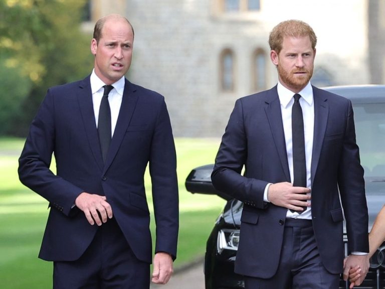 Le prince William remplace le prince Harry dans le rôle royal