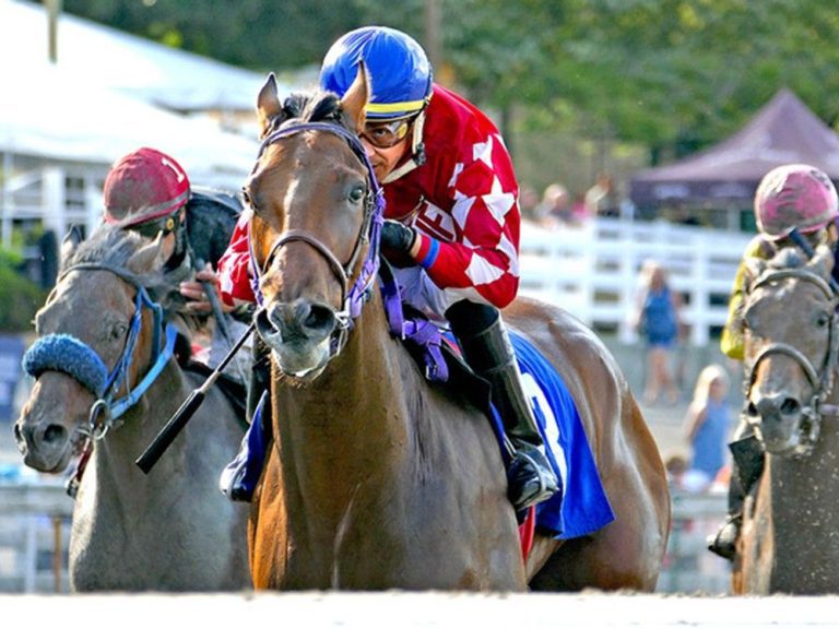 Sunbird un «cheval heureux» après sa grande victoire à la BC Cup à Hastings