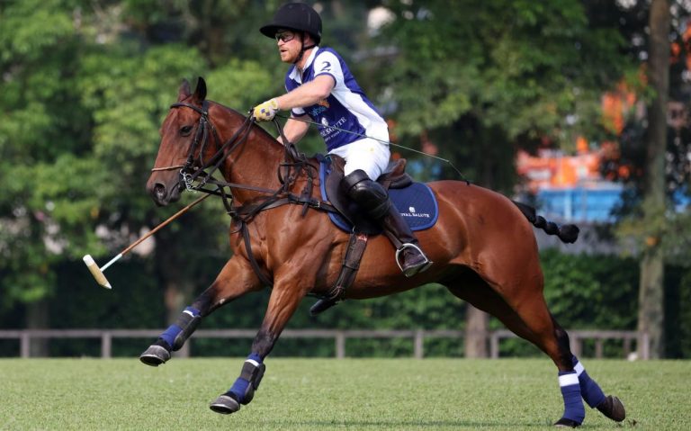 Le prince Harry manque à Meghan alors qu’il participe à un match de polo caritatif à Singapour