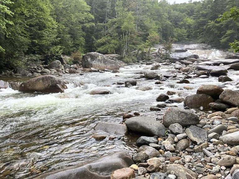 Une mère se noie en essayant de sauver son fils à la cascade, un père sauve un autre fils