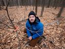 Dylan Rawlyk, directeur de l'éducation et de la conservation aux Amis de la montagne, avec l'un des quelque 1 000 jeunes arbres de chêne rouge plantés sur le mont Royal cet automne.