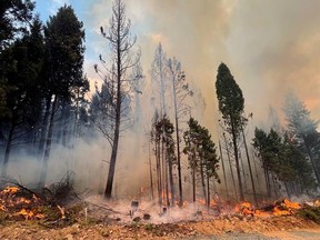 incendie des lacs de rossmoore