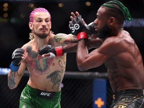 Sean O'Malley donne un coup de poing à Aljamain Sterling