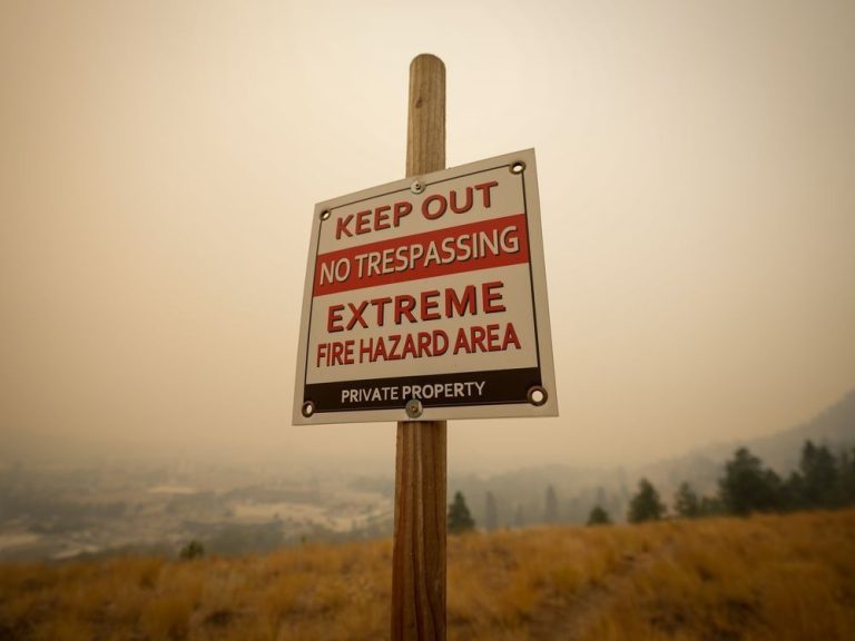 « UNE GRANDE SENTIMENT »: la bataille contre les incendies de forêt dans l’Okanagan a tourné le coin, disent les chefs des pompiers